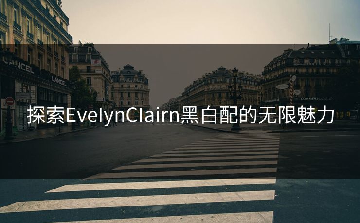 探索EveIynCIairn黑白配的无限魅力
