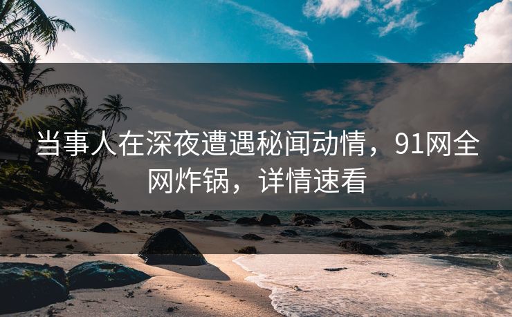 当事人在深夜遭遇秘闻动情，91网全网炸锅，详情速看