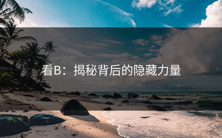 看B：揭秘背后的隐藏力量