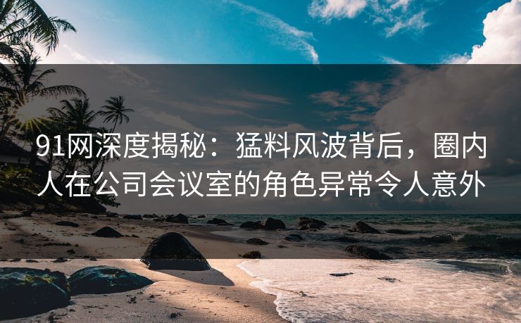 91网深度揭秘：猛料风波背后，圈内人在公司会议室的角色异常令人意外